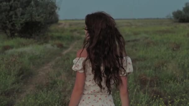 A beautiful girl in the steppe. Slow-motion authentic video. A beautiful young girl turns and smiles at he camera. — Stock Video