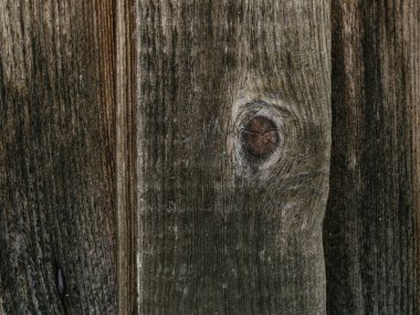 Large background texture of the wall of gray old wooden boards