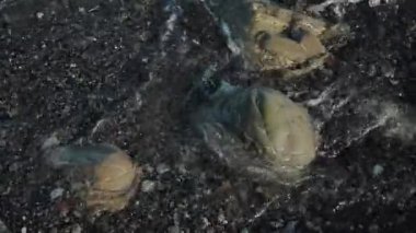 Sea waves are beating against the rocks on the coastline. Video with dark blue ocean water and foam waves. Slow motion video