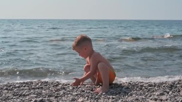 Милый мальчик играет с камнями на пляже, на берегу моря. Летние каникулы и морские каникулы. Аутентичное замедленное видео — стоковое видео