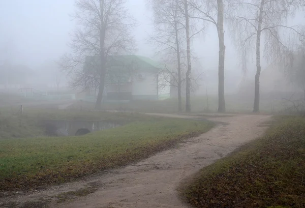 Thick shroud of fog in November — Stock Photo, Image