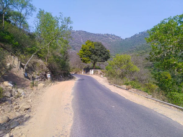 Estrada Única Floresta Pinheiros Perto Palampur Place Himachal Pradesh Índia — Fotografia de Stock