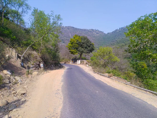 Singola Strada Nella Foresta Pino Vicino Palampur Place Himachal Pradesh — Foto Stock