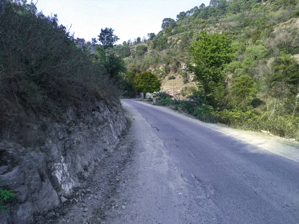 Singola Strada Nella Foresta Pino Vicino Palampur Place Himachal Pradesh — Foto Stock