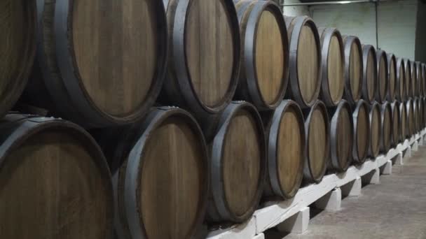 大橡木桶的葡萄酒在酒厂的地下室。葡萄酒生产,陈酿 — 图库视频影像