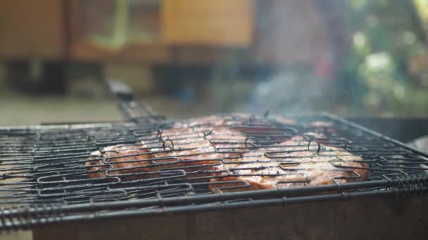 Stekar i en stängd grill steks på grillen. röken från kolen. gallret vänds av en mans hand. på en campingresa — Stockvideo