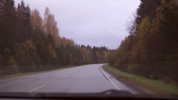 Herbststraße aus dem Auto. Blick durch die Frontscheibe. Gelber dichter Wald. Reisen durch das Land — Stockvideo