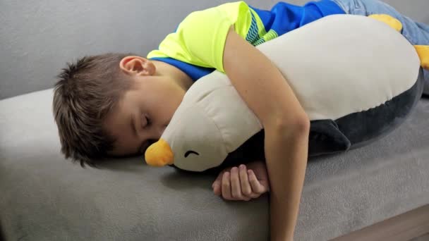 El chico está durmiendo acostado en el sofá con un juguete suave. un juguete de pingüino. abrazos suaves — Vídeos de Stock