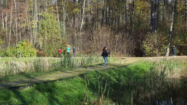 Una joven corre por el parque. dando la vuelta, un chico con un avión corre hacia ella. abrazos familiares — Vídeos de Stock