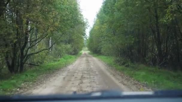 A dirt road in the forest. view from the car. the camera wobbles when passing the next bumps — Vídeo de stock