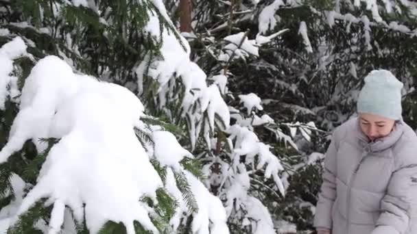 一个漂亮的女人在靠近圣诞树的雪地森林里用智能手机拍照。美丽的雪白的冬天在云杉林中。大自然的美丽 — 图库视频影像