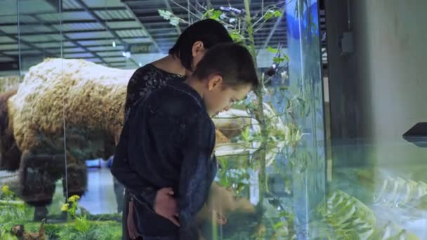 Teenager a jeho matka se dívají na výstavu se zvířaty v muzeu. vzdělávání mládeže — Stock video