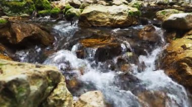a quiet mountain river in the summer. rocky bottom, clear water. large rocks overgrown with vegetation