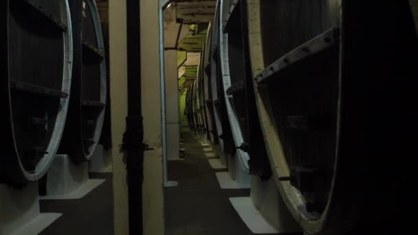大橡木桶的葡萄酒在酒厂的地下室。葡萄酒生产 — 图库视频影像