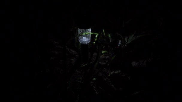 Gartenlaterne mit Solarbatterie. Er steht im Dunkeln und beleuchtet den Club. dekorativ — Stockvideo