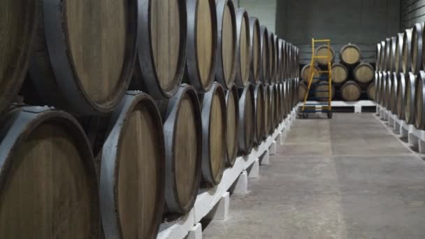 Duże dębowe beczki wina w piwnicy winnicy. produkcja, dojrzewanie wina — Wideo stockowe
