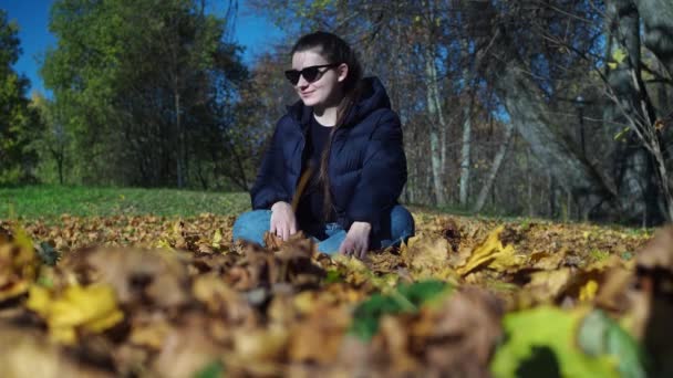 A young woman is sitting on a carpet of leaves. leaves are flying at her. posing for a photo shoot — Vídeo de Stock