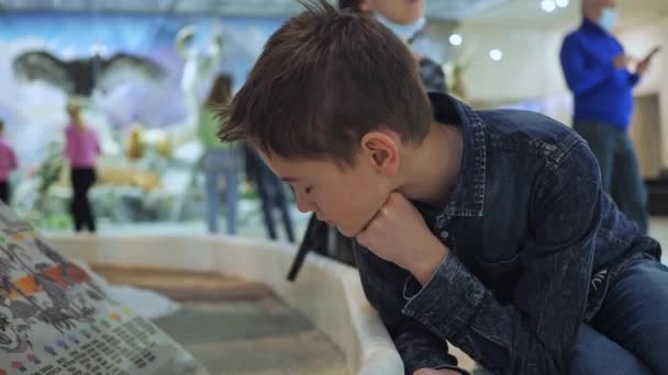 Подросток внимательно читает экспозицию в музее. яркий мальчик 10-12 лет — стоковое видео