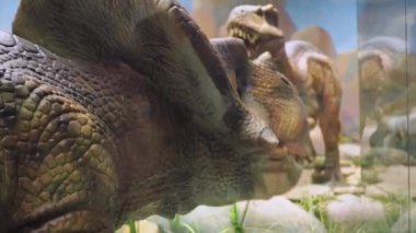 Dinozor modelleri hareket eder ve kafalarını sallarlar. Antik hayvanların doğal modelleri.