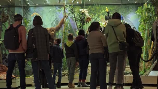 Moskova Ocak 2022. Darwin Müzesi. Çocuklu ziyaretçiler sergiye vahşi hayvanlarla bakıyorlar — Stok video