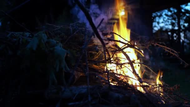 Вогонь горить. рука чоловіка кладе гілки на вогонь. зустрічі на заміській ділянці на тлі вогнів будинку — стокове відео
