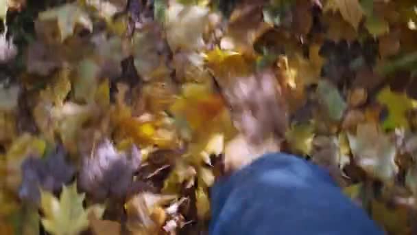 Чоловічі ноги ходять на жовтому листі. кленове золоте листя під ногами в класичному взутті. осінній парк. швидкий крок — стокове відео
