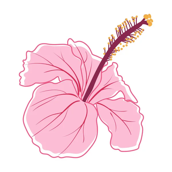 Tropical Hibiscus Flower Hibiscus Pink Decorative Exotic Flower Vector Illustration — Vetor de Stock