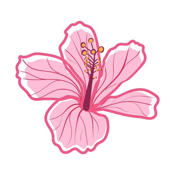 Tropik Amber Çiçeği Hibiscus Pembe Dekoratif Egzotik Çiçek Vektörü Çizimi — Stok Vektör