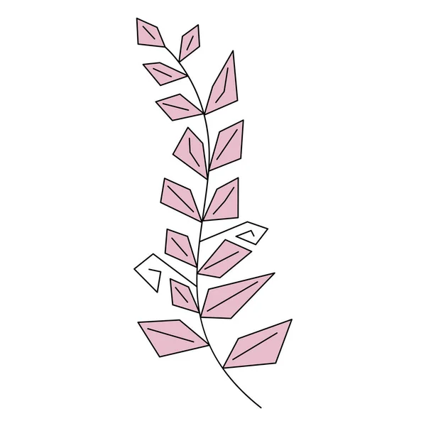 花柱化菱形叶 多边形叶 植物线形几何分枝装饰植物元素向量图 在白色上分离 — 图库矢量图片