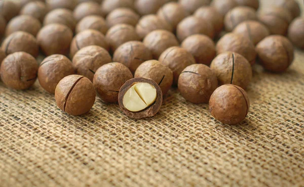 Macadamia Nut Heap Close Background Copy Space Healthy Food — Stock Photo, Image