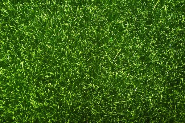 Вид Сверху Текстуру Поверхность Зеленого Грасса Концепция Экологической Зеленой Травы — стоковое фото