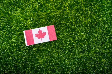 Kanada bayrağı, yeşil çimen arka planında Kanada bayrağı. Kanada bayrağı açık havada dalgalanıyor