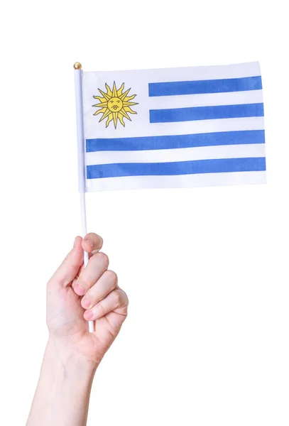 Ruka Drží Vlajku Země Uruguay Bílém Izolovaném Pozadí Koncept Velké — Stock fotografie