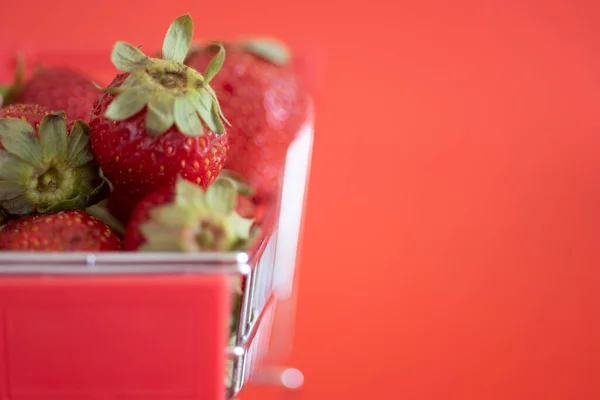 Kleiner Wagen Voll Frischer Reifer Erdbeeren Vor Rotem Hintergrund Nahaufnahme — Stockfoto
