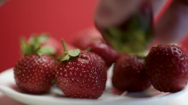 Fresh Heap Ripe Wild Strawberries Rotates Summer Strawberry Harvest Plate — Stock Video
