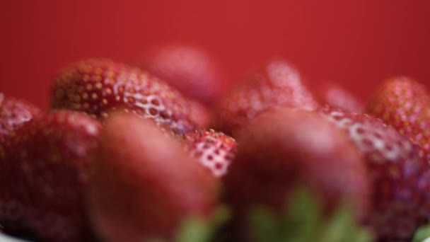 Φρέσκος Σωρός Ώριμων Άγριων Φραουλών Περιστρέφεται Θερινή Συγκομιδή Φράουλας Κοντινό — Αρχείο Βίντεο
