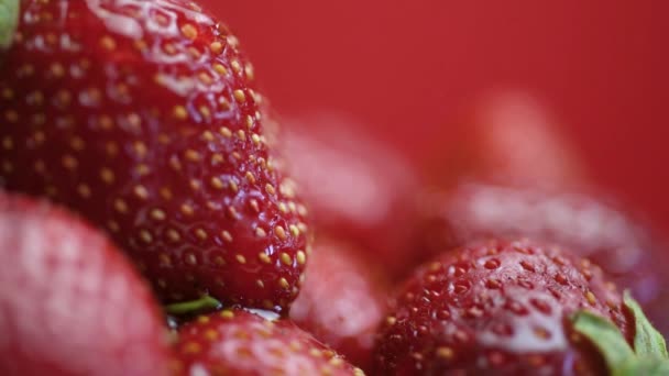 Nahaufnahme Von Reifen Saftigen Erdbeeren Mit Wassertropfen Die Über Die — Stockvideo