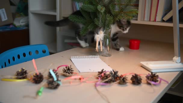 可愛いふわふわ子猫がクリスマスツリーにクリスマス飾りで遊ぶ新年のコンセプト — ストック動画