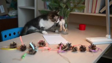 Şirin tüylü kedi yavrusu yeni yıl ağacı konseptiyle Noel süslemeleriyle oynuyor.