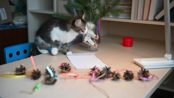 Roztomilý nadýchaný kotě hrát s vánoční ozdoby na vánoční stromeček nový rok koncept — Stock video