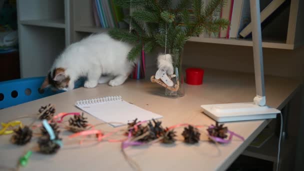 Χαριτωμένο χνουδωτό γατάκι παίζει με χριστουγεννιάτικα στολίδια στο χριστουγεννιάτικο δέντρο έννοια του νέου έτους — Αρχείο Βίντεο