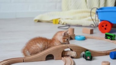 Şirin, kızıl, komik, kedi yavrusu çocuk odasında oyuncak paravozuyla ahşap bir demiryolunda oynuyor.