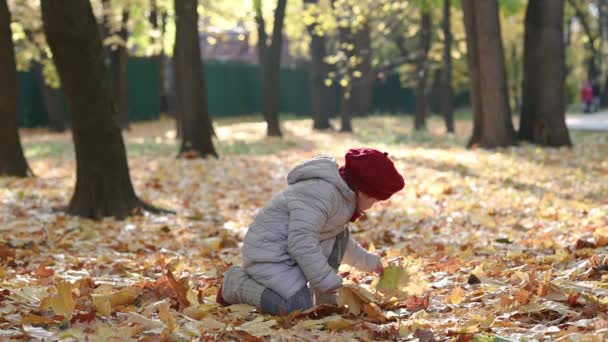 Niña caminando en el parque de la ciudad arroja hojas de arce amarillo en otoño dorado — Vídeos de Stock