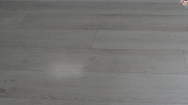 Şirin kızıl kedi yavrusu evin zemininde güneşle oynuyor.