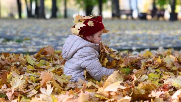 Klein meisje wandelen in het park in de stad gooit gele esdoorn bladeren in gouden herfst — Stockvideo