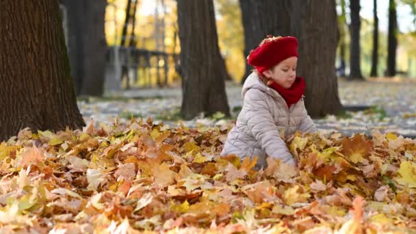 Petite fille marche dans le parc dans la ville jette des feuilles d'érable jaune en automne doré — Video