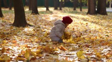 Parkta yürüyen küçük kız altın sonbaharda sarı akçaağaç yaprakları fırlatıyor.