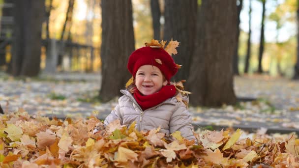 Niña caminando en el parque de la ciudad arroja hojas de arce amarillo en otoño dorado — Vídeo de stock