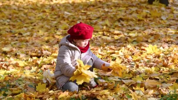 Маленька дівчинка гуляє в парку в місті кидає жовте кленове листя в золоту осінь — стокове відео