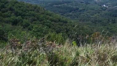 Teleferik kulübesi, Güller Vadisi 'ndeki Kislovodsk parkında hareket ediyor.
